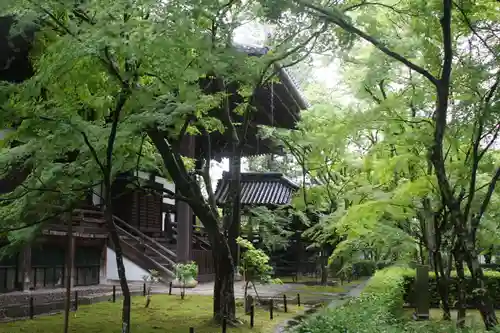 真正極楽寺（真如堂）(京都府)