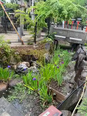 杭全神社(大阪府)