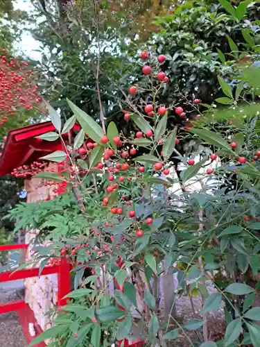 三輪神社(愛知県)