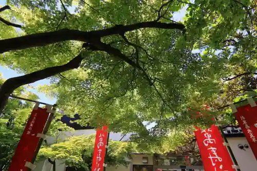 萬寿神社（柏屋本店願掛け萬寿石）(福島県)