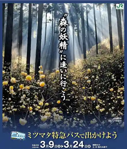 焼森山雷神神社(栃木県)