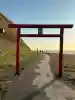 金比羅神社の{uncategorized: "未分類", other: "その他", undefined: "問題あり", building: "その他建物", grave: "お墓", sacred_gate: "鳥居", guardian: "狛犬", statue: "像", buddha: "仏像", history: "歴史", nature: "自然", garden: "庭園", animal: "動物", pagoda: "塔", temizu: "手水舎", mountain_gate: "山門・神門", sanctuary: "本殿・本堂", subordinate: "末社・摂社", art: "芸術", scenery: "景色", jizo: "地蔵", ema: "絵馬", goshuin: "御朱印", omikuji: "おみくじ", items: "授与品その他", amulet: "お守り", goshuincho: "御朱印帳", eats: "食事", festival: "お祭り", votive_dance: "神楽", shichigosan: "七五三参", wedding: "結婚式", experience: "体験その他", initially: "初詣", around: "周辺", anti_infection: "感染症対策"}