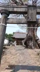 早尾神社の自然