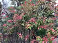 伏見市場稲荷大神の{uncategorized: "未分類", other: "その他", undefined: "問題あり", building: "その他建物", grave: "お墓", sacred_gate: "鳥居", guardian: "狛犬", statue: "像", buddha: "仏像", history: "歴史", nature: "自然", garden: "庭園", animal: "動物", pagoda: "塔", temizu: "手水舎", mountain_gate: "山門・神門", sanctuary: "本殿・本堂", subordinate: "末社・摂社", art: "芸術", scenery: "景色", jizo: "地蔵", ema: "絵馬", goshuin: "御朱印", omikuji: "おみくじ", items: "授与品その他", amulet: "お守り", goshuincho: "御朱印帳", eats: "食事", festival: "お祭り", votive_dance: "神楽", shichigosan: "七五三参", wedding: "結婚式", experience: "体験その他", initially: "初詣", around: "周辺", anti_infection: "感染症対策"}