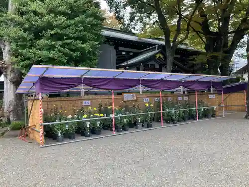 大國魂神社(東京都)