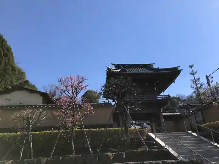 高松寺の山門・神門