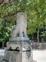 國津比古命神社の狛犬