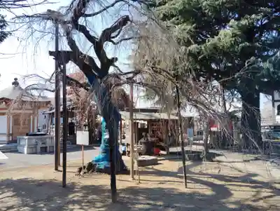 普済寺(群馬県)