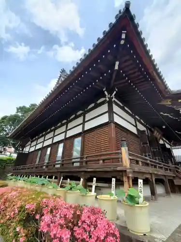 善導寺(福島県)