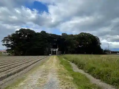 山田正八幡宮(滋賀県)