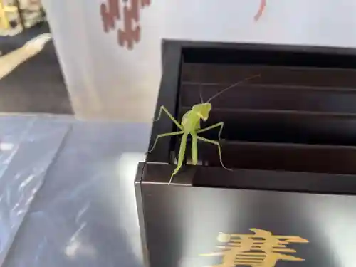 冠纓神社(香川県)