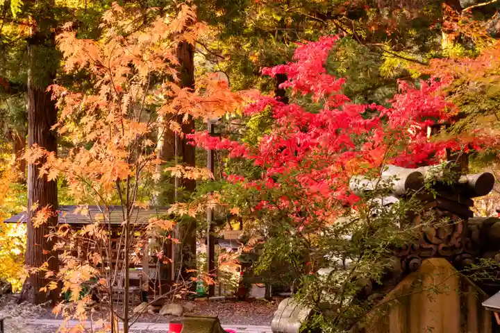 山家神社(長野県)