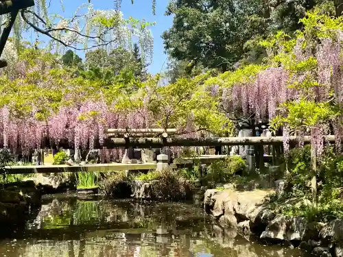歌泉堂（春日大社神苑萬葉植物園内鎮座）(奈良県)