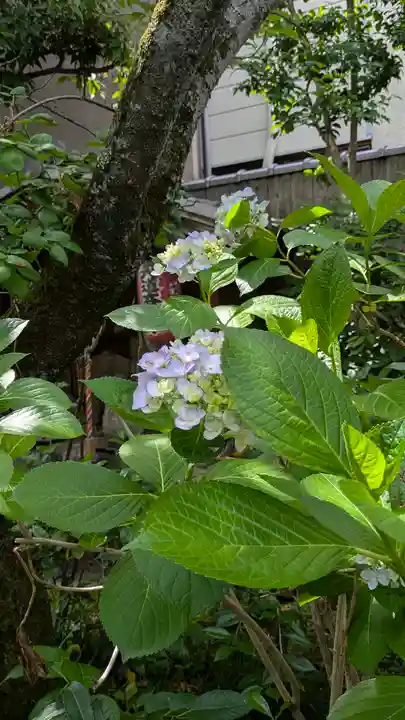 宝蔵寺(京都府)