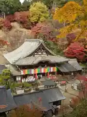 岡寺（龍蓋寺）(奈良県)