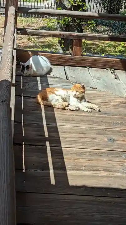 安樂壽院(京都府)