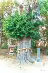 網場神社(宮城県)