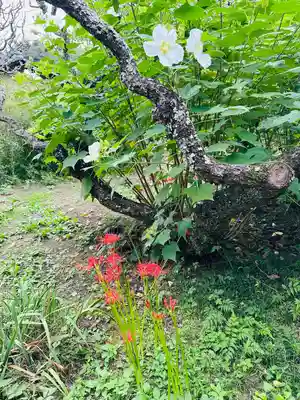 英勝寺(神奈川県)