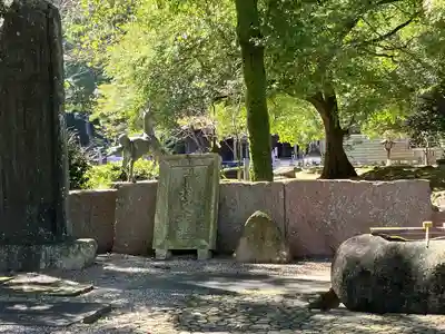 岐阜護國神社(岐阜県)