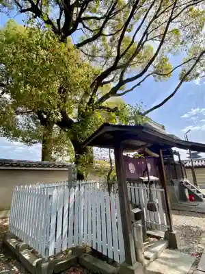 東寺（教王護国寺）(京都府)