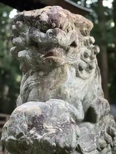 河口浅間神社の狛犬