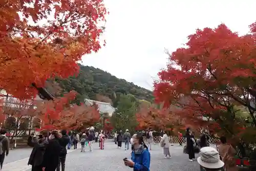 禅林寺（永観堂）(京都府)