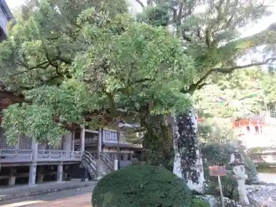 青岸渡寺(和歌山県)