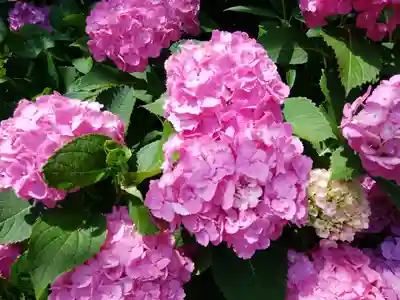 円覚寺(神奈川県)