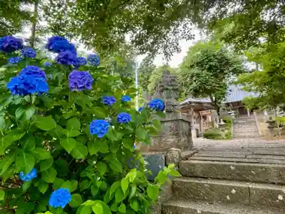 櫻田山神社(宮城県)