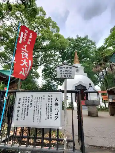 上野大佛(東京都)