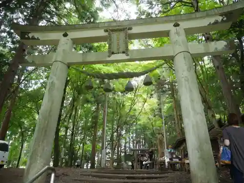 宝登山神社奥宮の鳥居