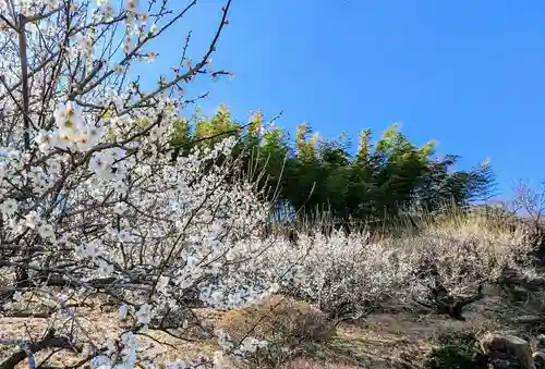 金蛇水神社(宮城県)