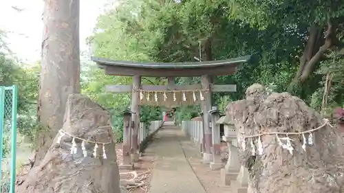 馬場氷川神社の鳥居