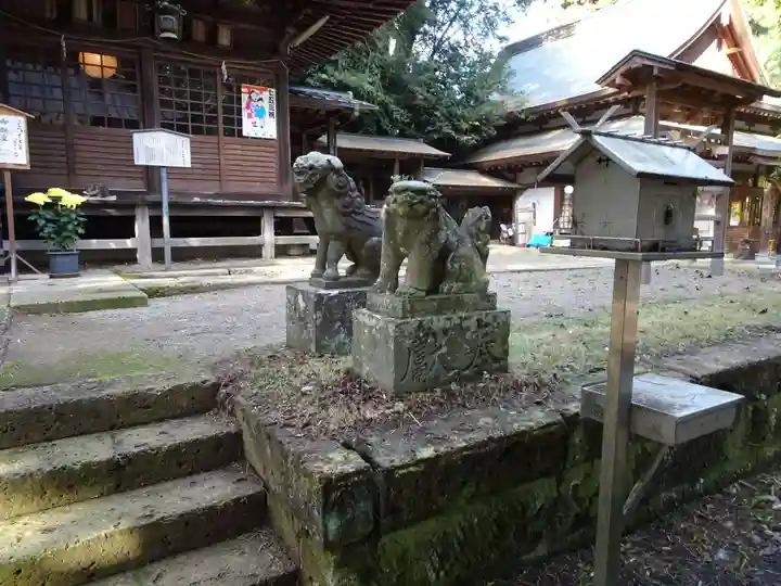 雄琴神社の狛犬