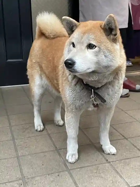 笠䅣稲荷神社(神奈川県)