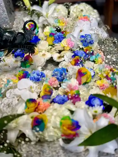 札幌諏訪神社の手水舎