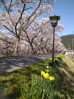 三上六所神社の自然