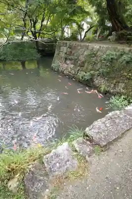 八幡神社松平東照宮(愛知県)