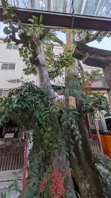 文子天満宮(京都府)