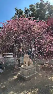 屯倉神社(大阪府)