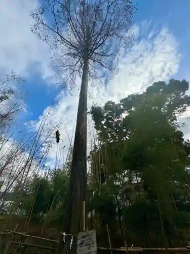 蛭子島神社(京都府)
