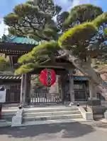 長谷寺(神奈川県)
