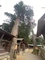 豊受大神社のその他建物