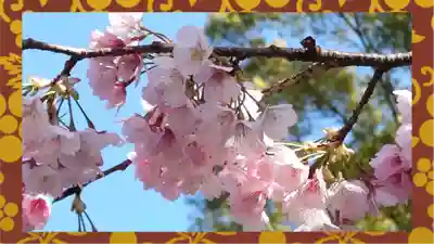 清水観音堂(東京都)