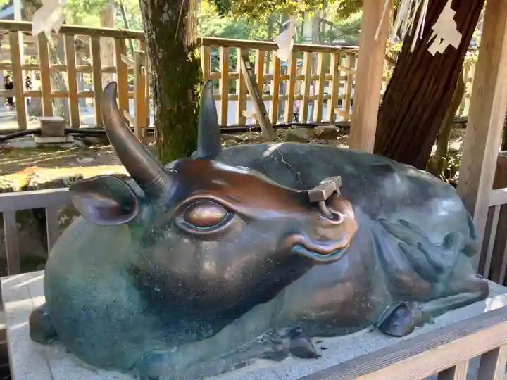 出雲大社(島根県)