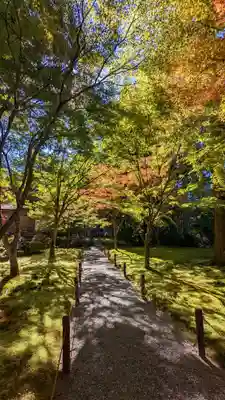 三千院門跡の自然