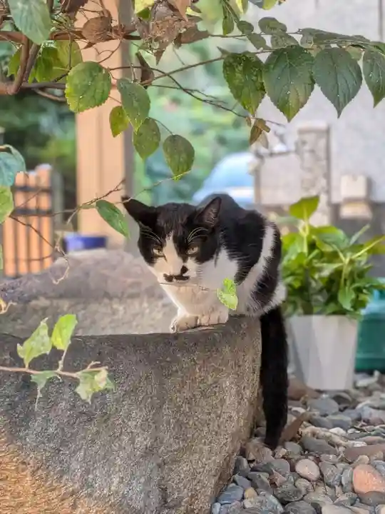 白金氷川神社(東京都)