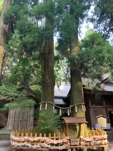 高千穂神社の自然