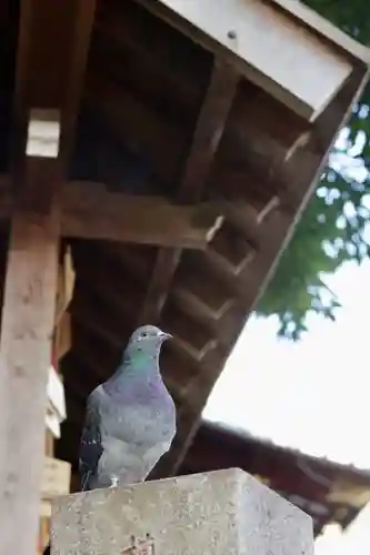 金王八幡宮(東京都)