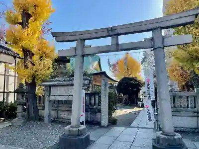 白鬚神社(東京都)